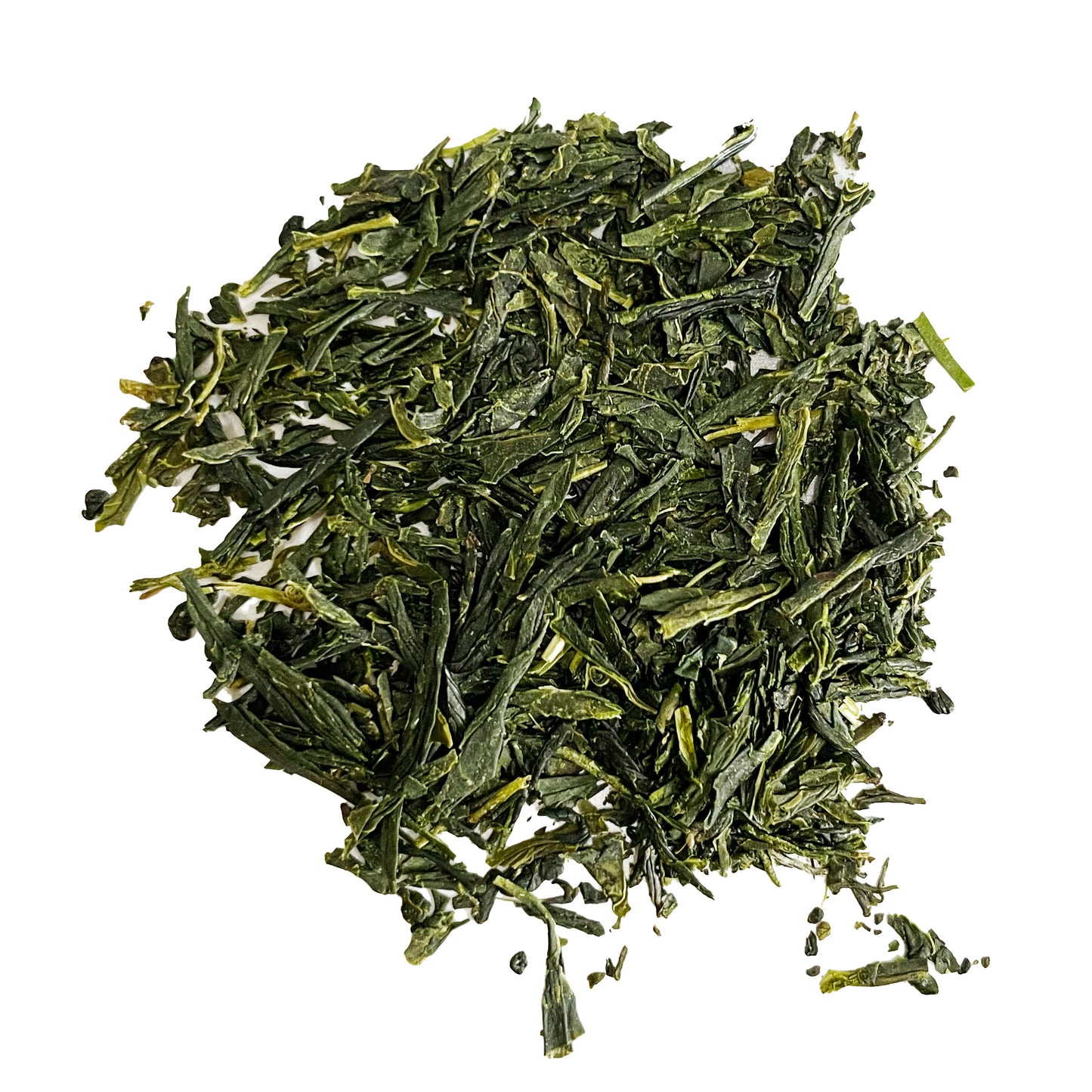 Svelte Sencha